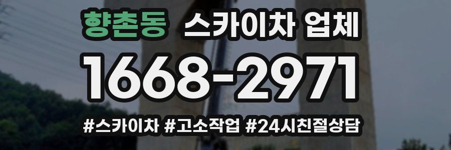 향촌동 스카이차 업체