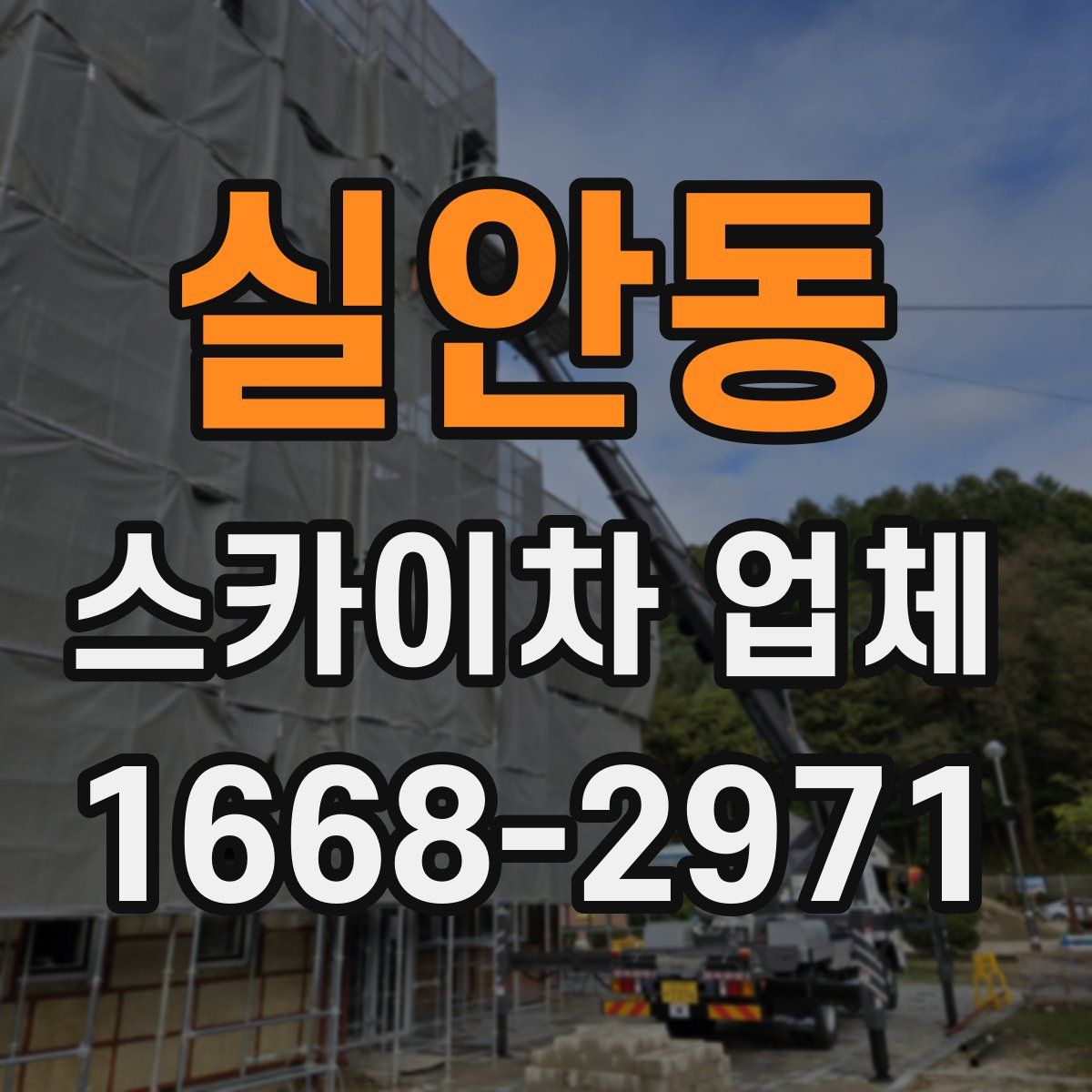 실안동 스카이차 업체