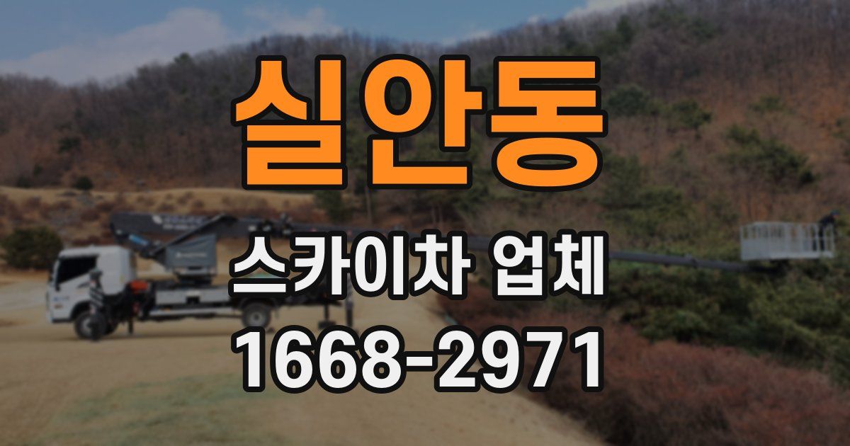 실안동 스카이차 업체