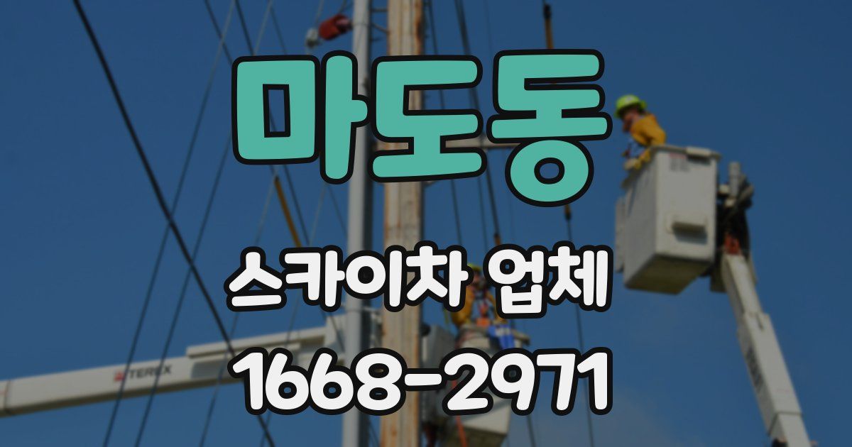 마도동 스카이차 업체