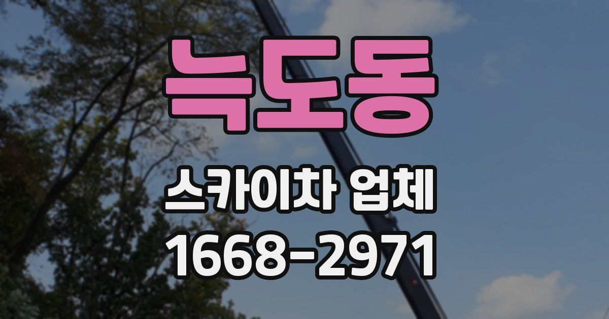 늑도동 스카이차 업체