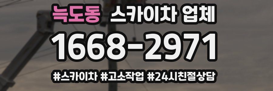 늑도동 스카이차 업체