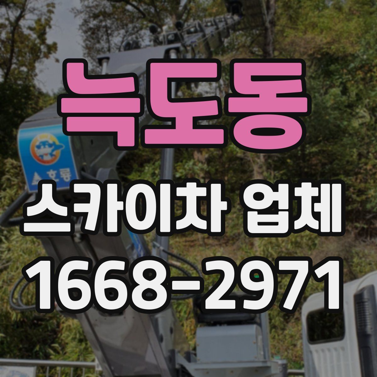 늑도동 스카이차 업체