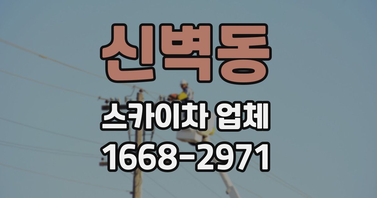 신벽동 스카이차 업체