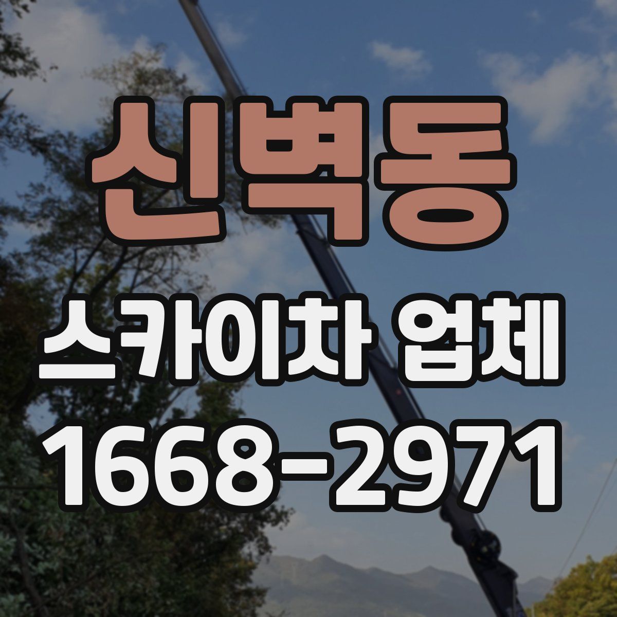 신벽동 스카이차 업체