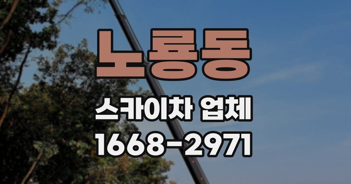 노룡동 스카이차 업체