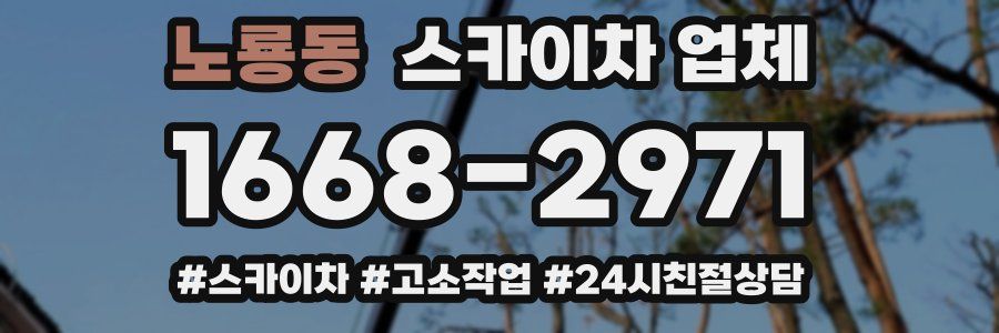 노룡동 스카이차 업체