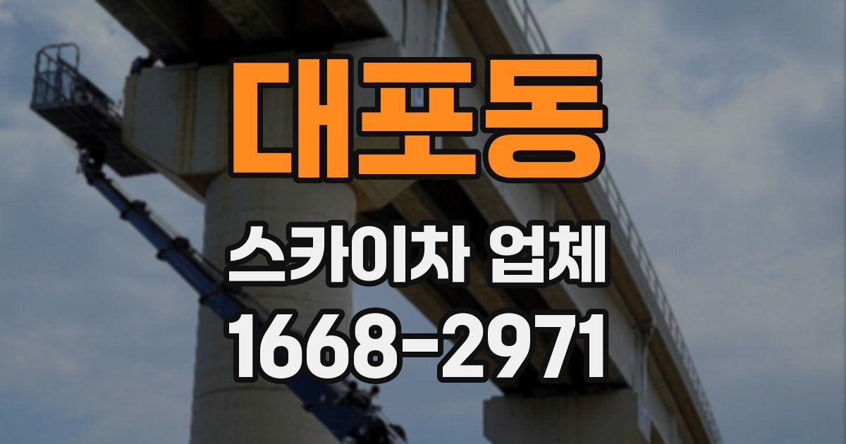 대포동 스카이차 업체