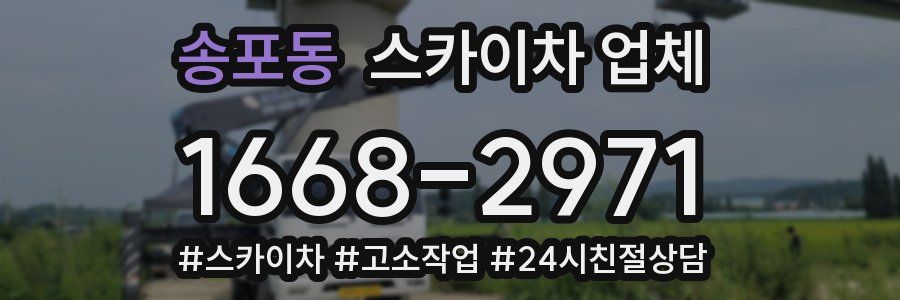 송포동 스카이차 업체