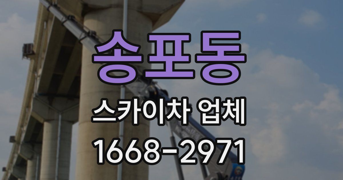 송포동 스카이차 업체