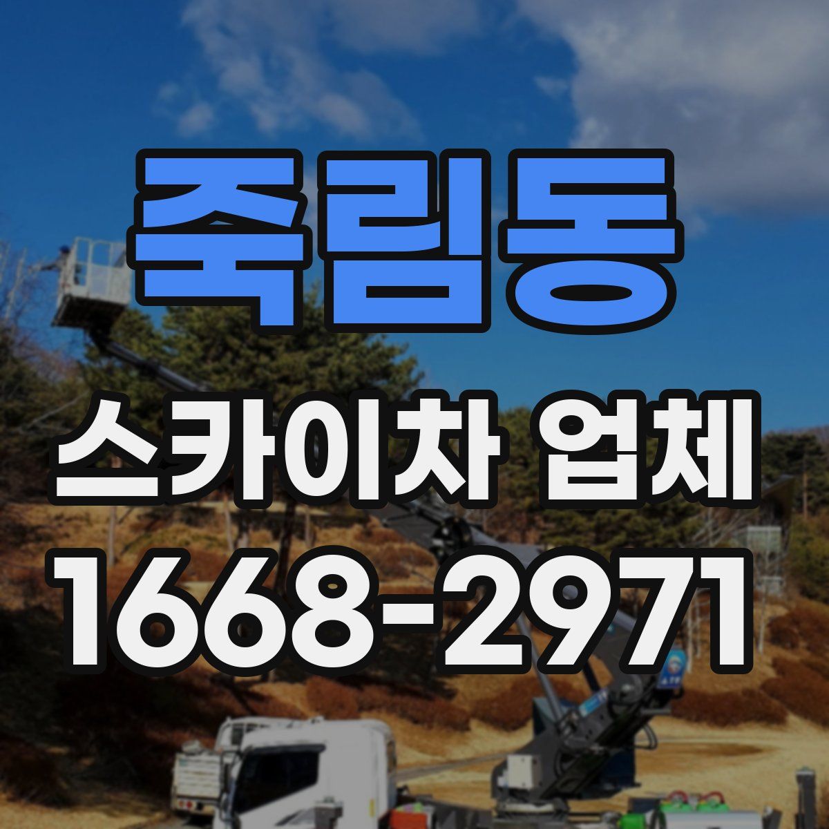 죽림동 스카이차 업체