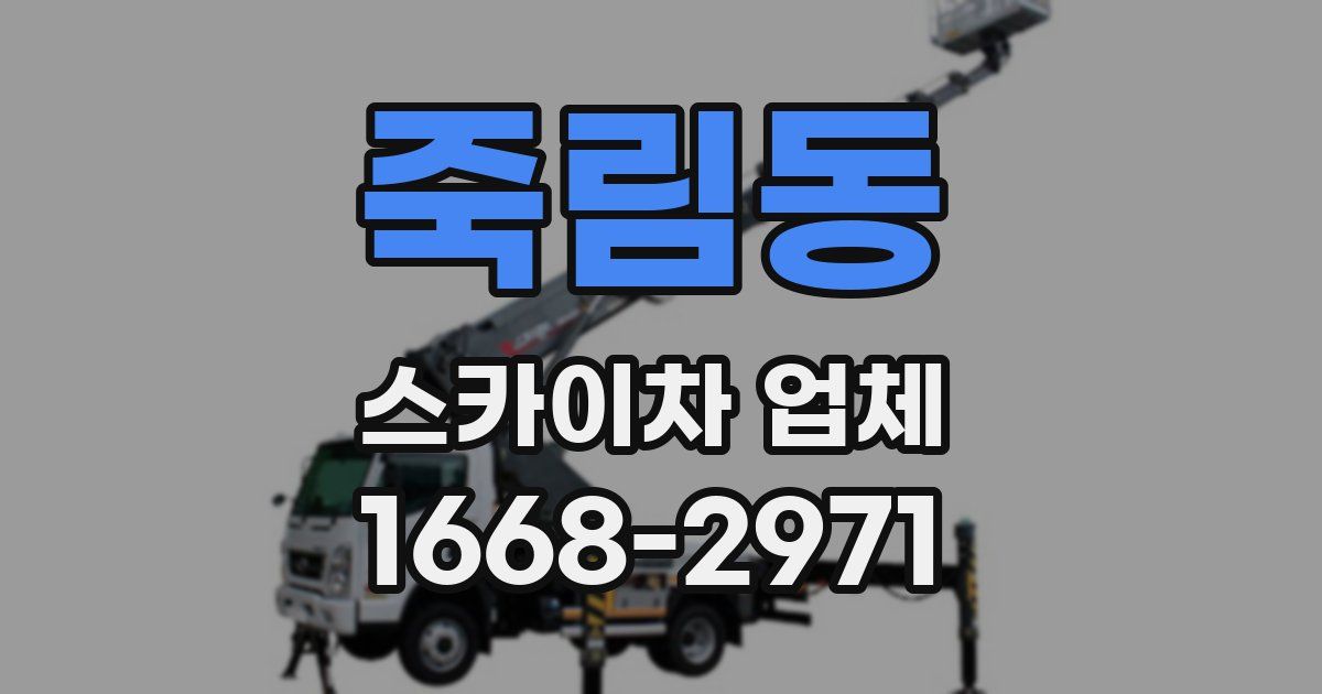 죽림동 스카이차 업체