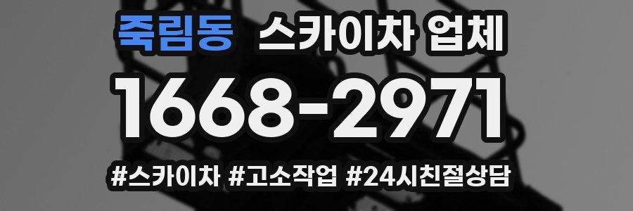 죽림동 스카이차 업체