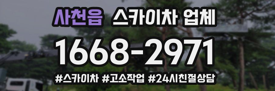사천읍 스카이차 업체