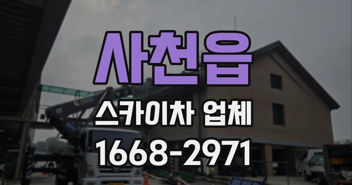 사천읍 스카이차 업체