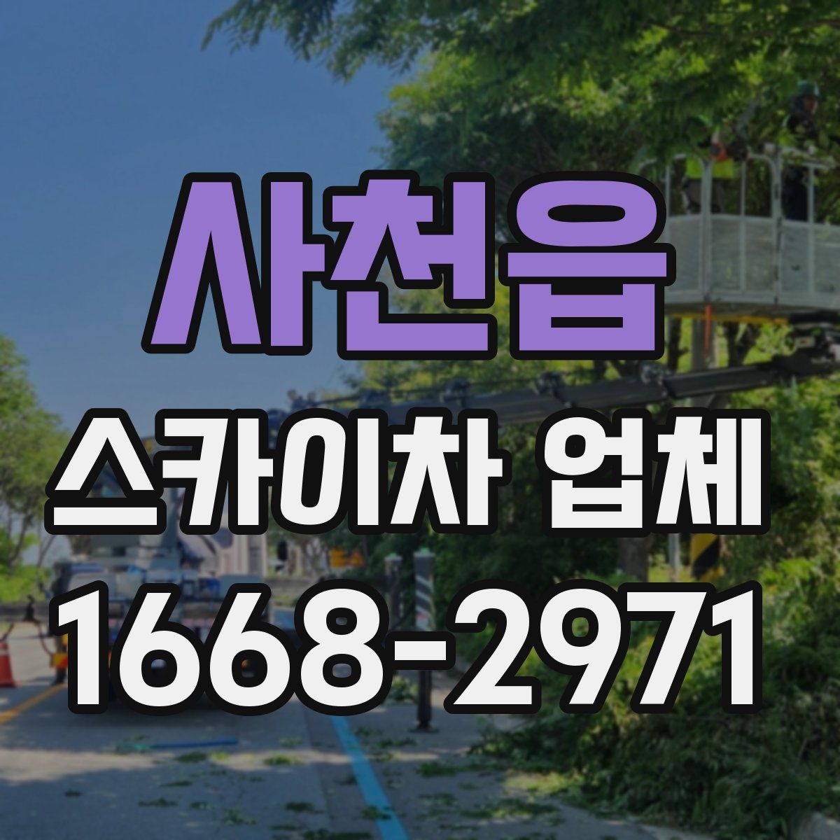 사천읍 스카이차 업체