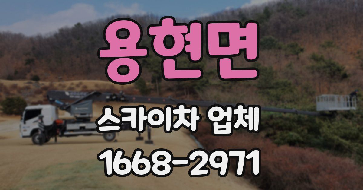 용현면 스카이차 업체