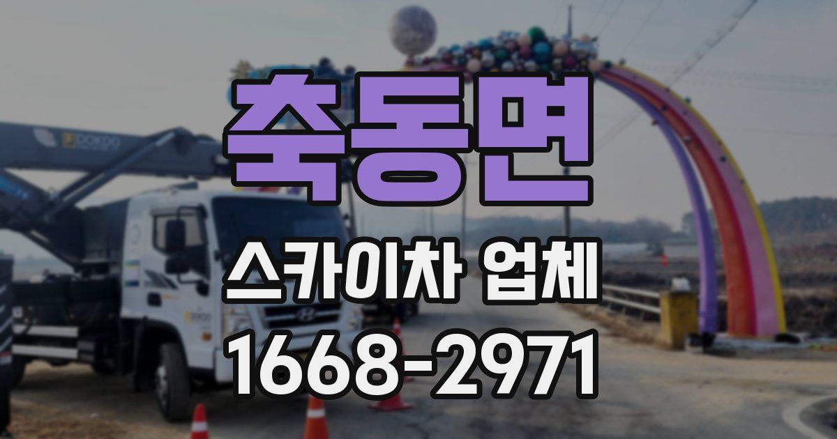 축동면 스카이차 업체