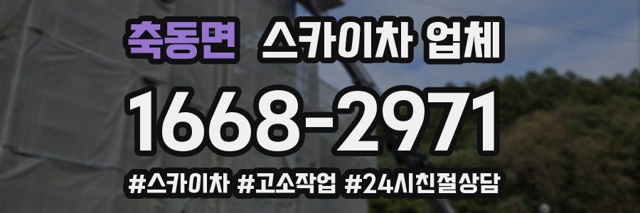 축동면 스카이차 업체