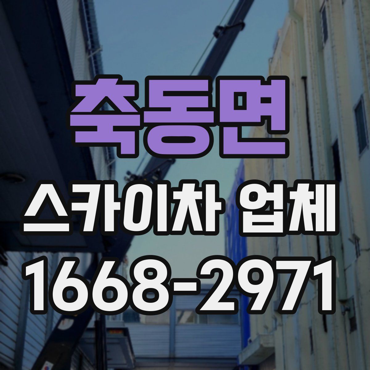 축동면 스카이차 업체