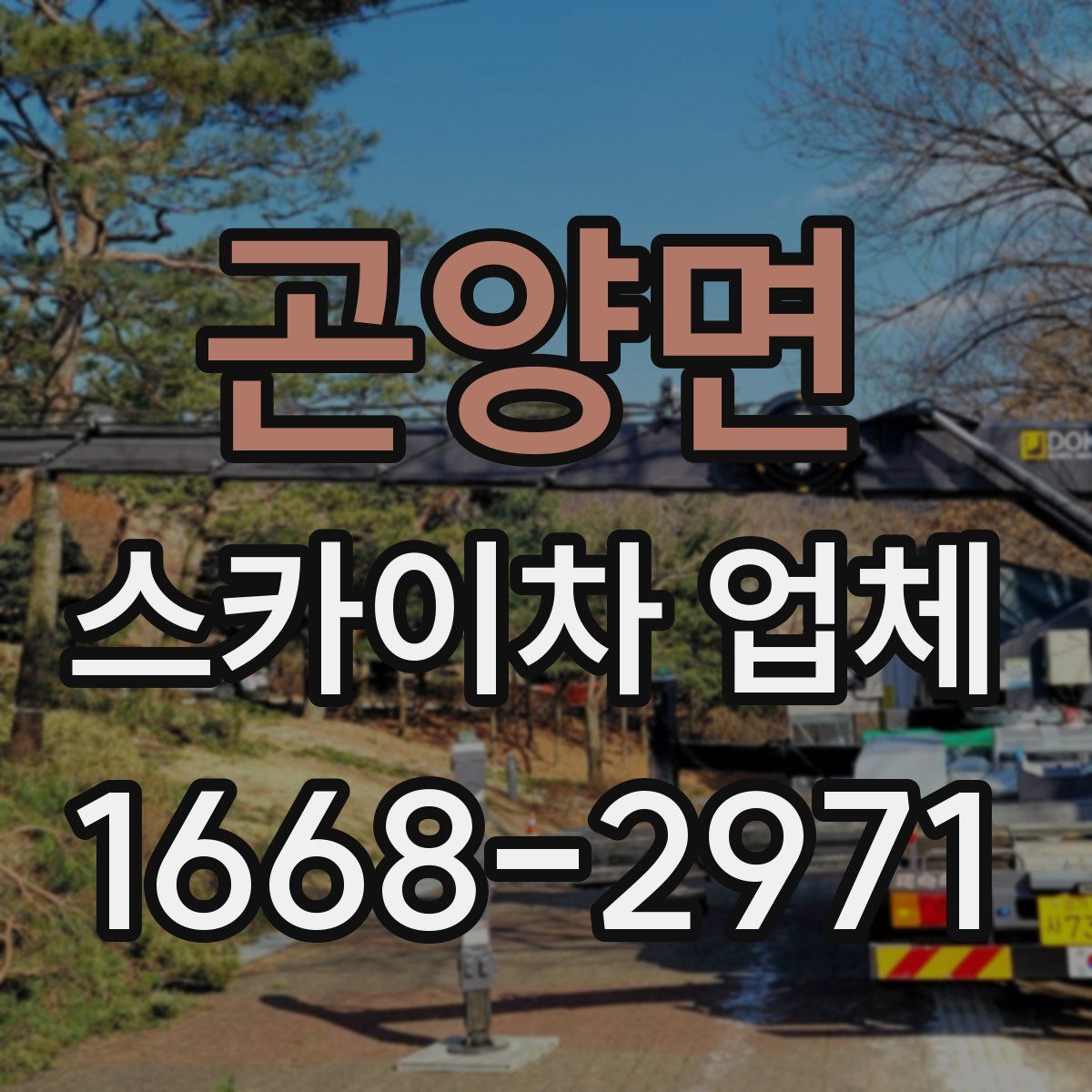 곤양면 스카이차 업체