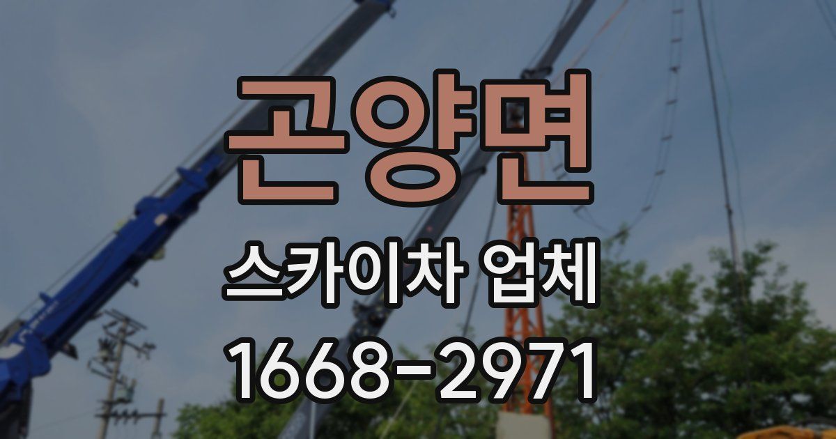 곤양면 스카이차 업체