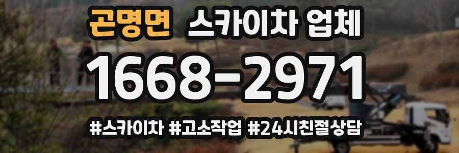 곤명면 스카이차 업체