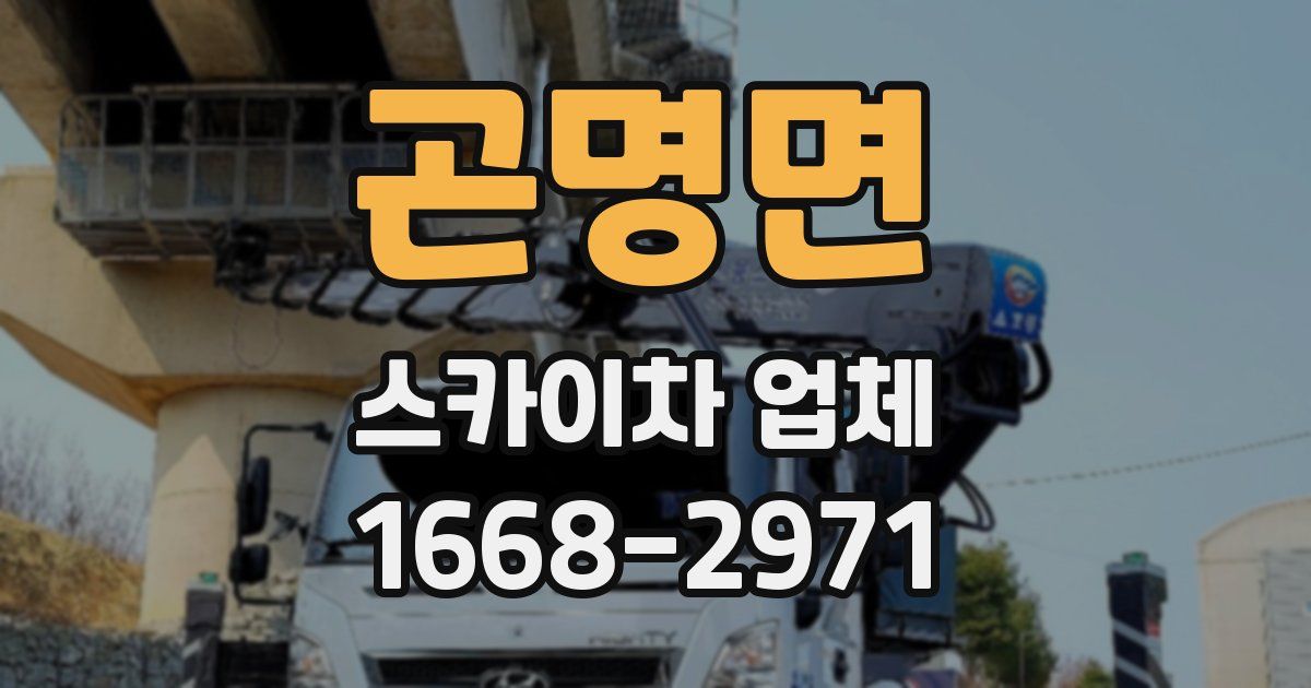 곤명면 스카이차 업체