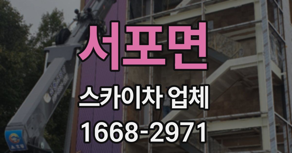 서포면 스카이차 업체