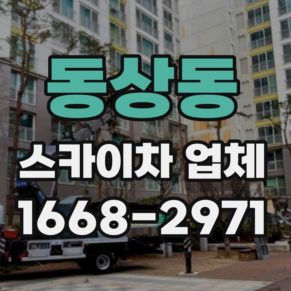 동상동 스카이차 업체