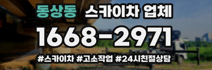 동상동 스카이차 업체