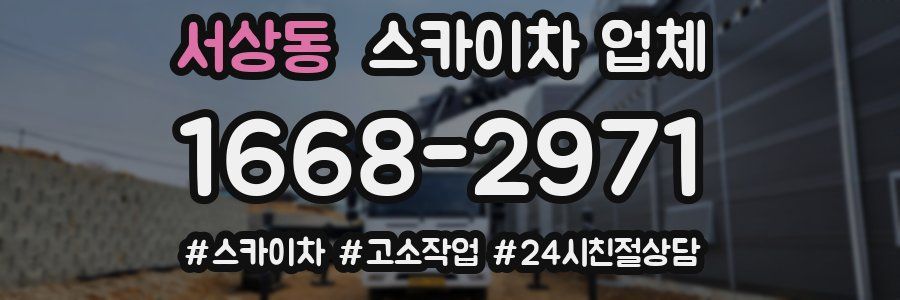 서상동 스카이차 업체