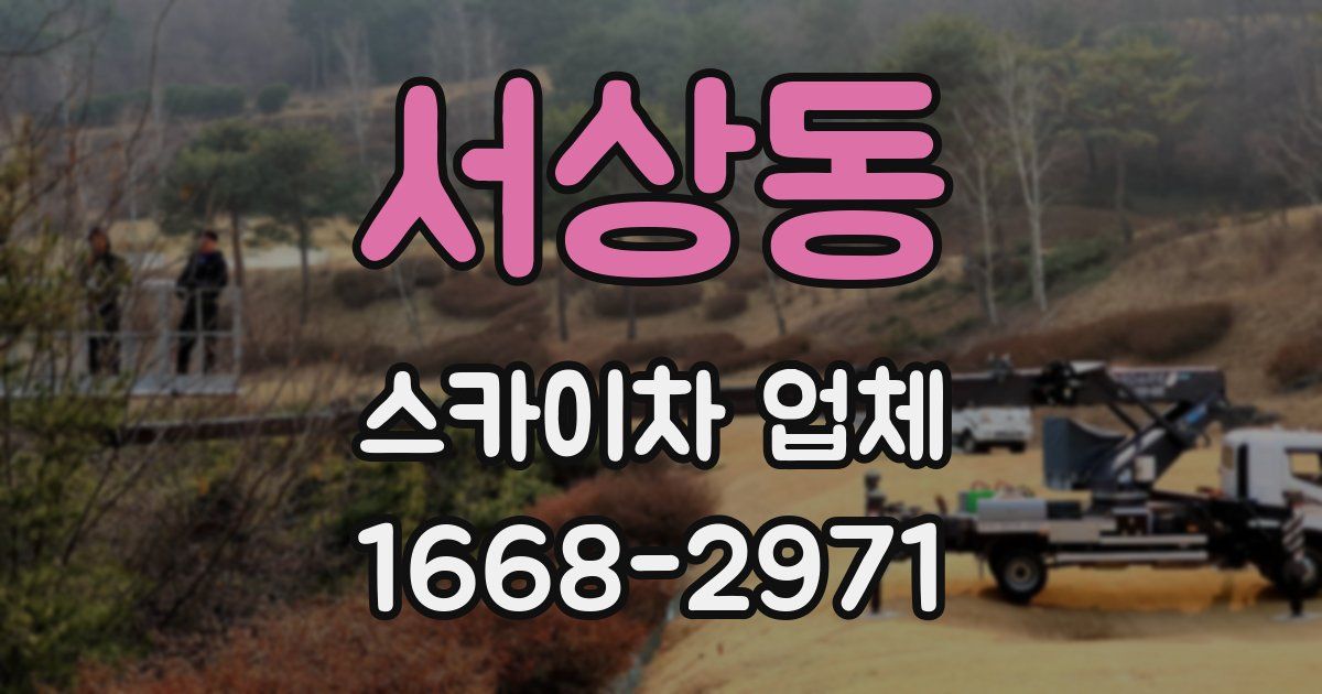 서상동 스카이차 업체
