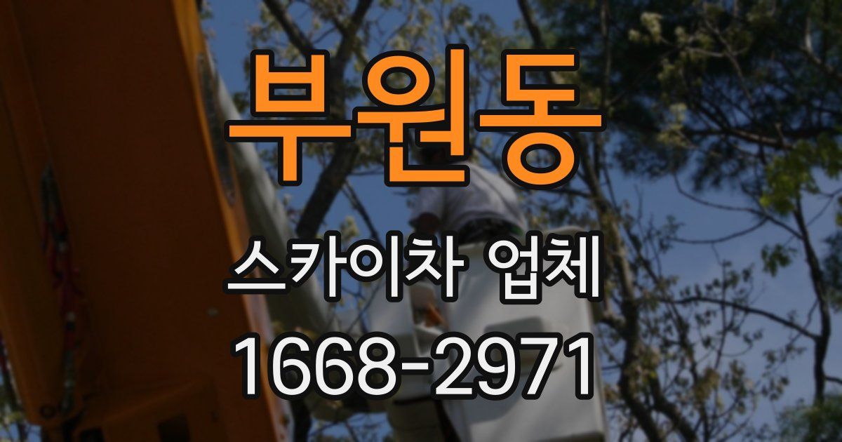 부원동 스카이차 업체