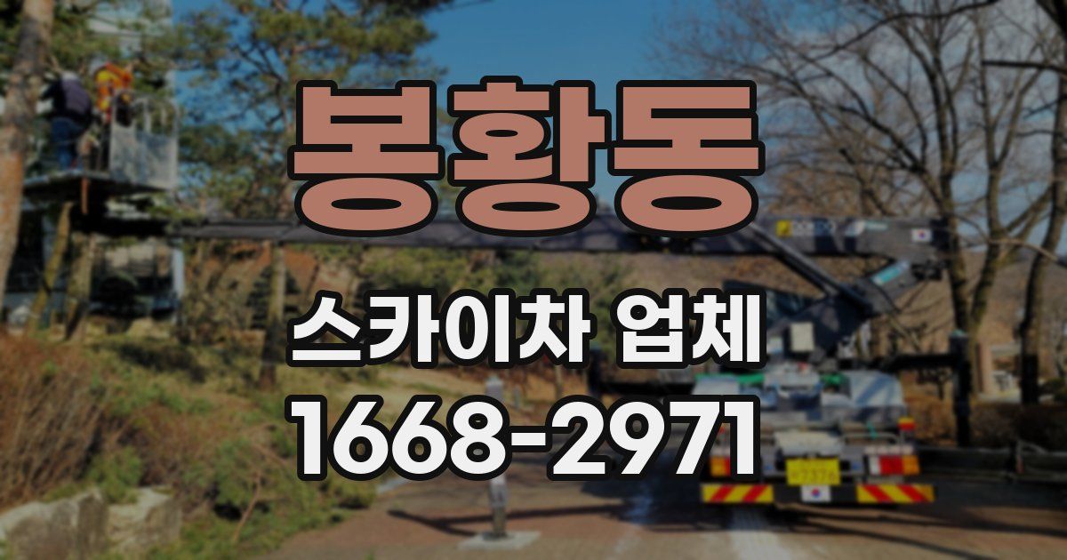 봉황동 스카이차 업체
