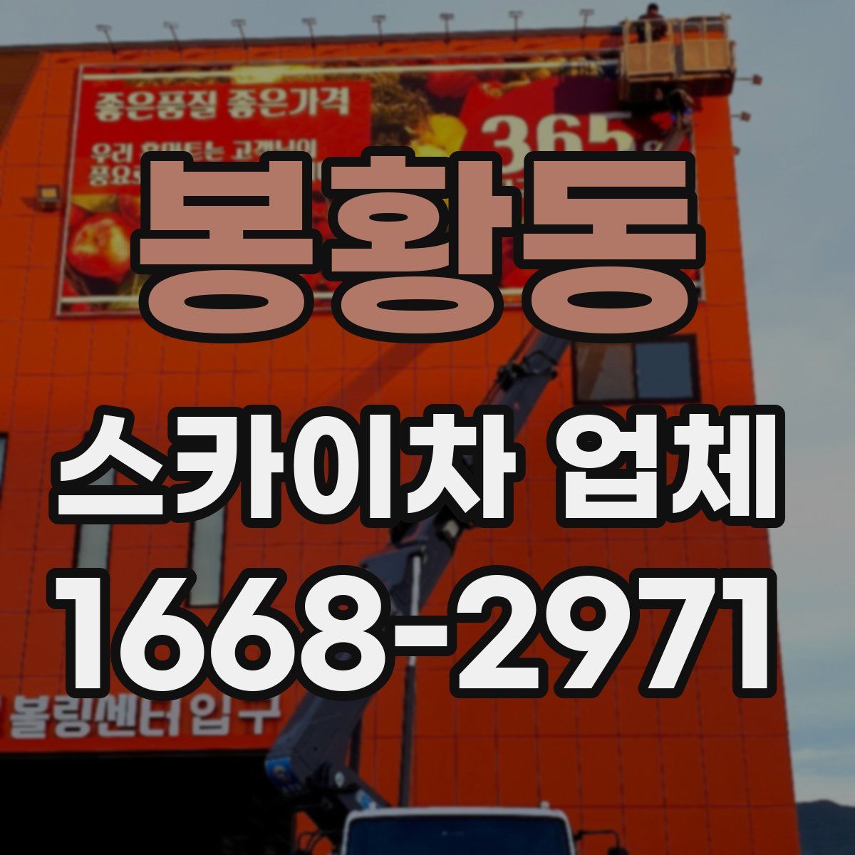 봉황동 스카이차 업체