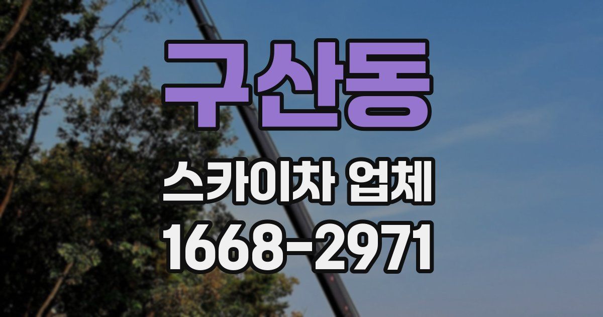 구산동 스카이차 업체