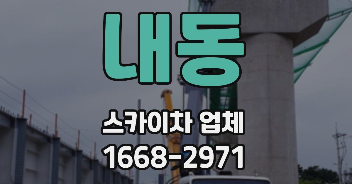 내동 스카이차 업체
