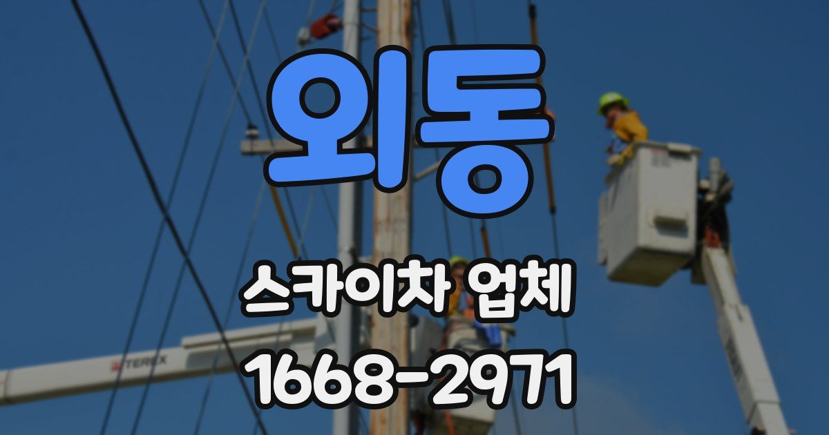외동 스카이차 업체