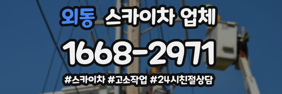 외동 스카이차 업체