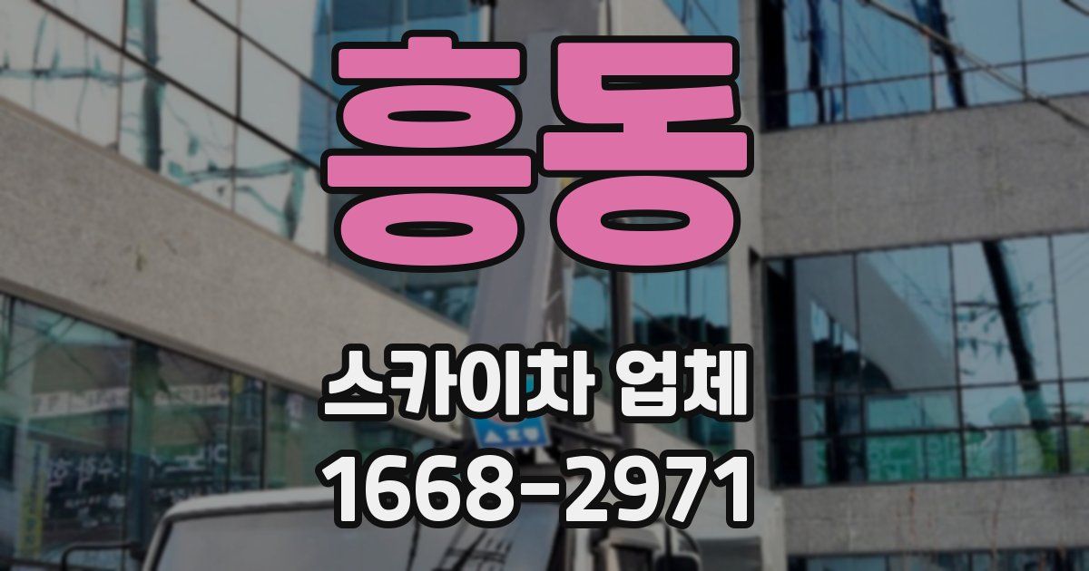 흥동 스카이차 업체