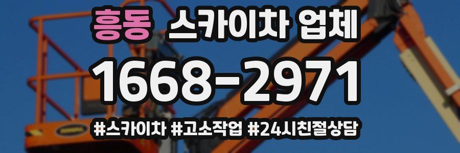 흥동 스카이차 업체