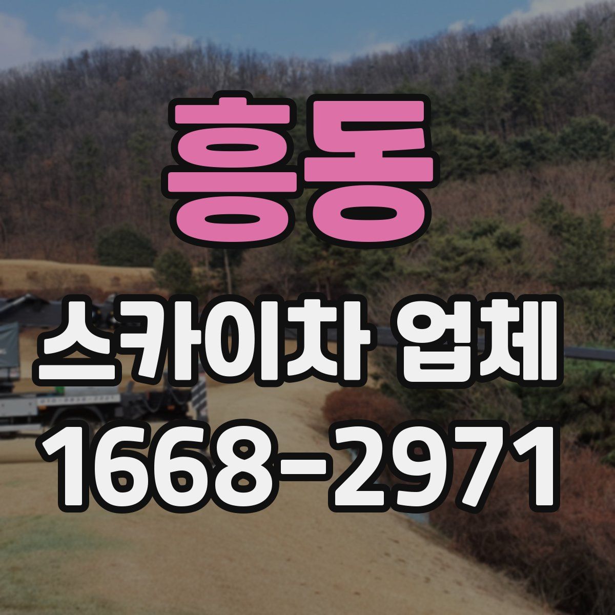 흥동 스카이차 업체