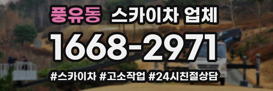 풍유동 스카이차 업체