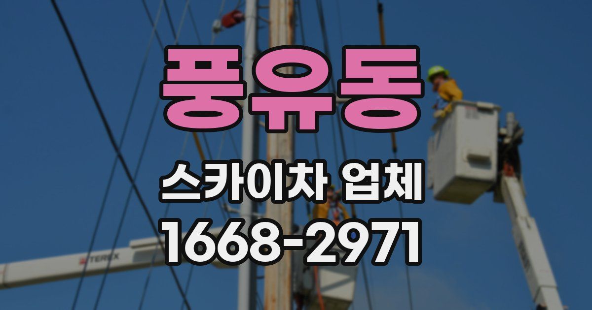 풍유동 스카이차 업체