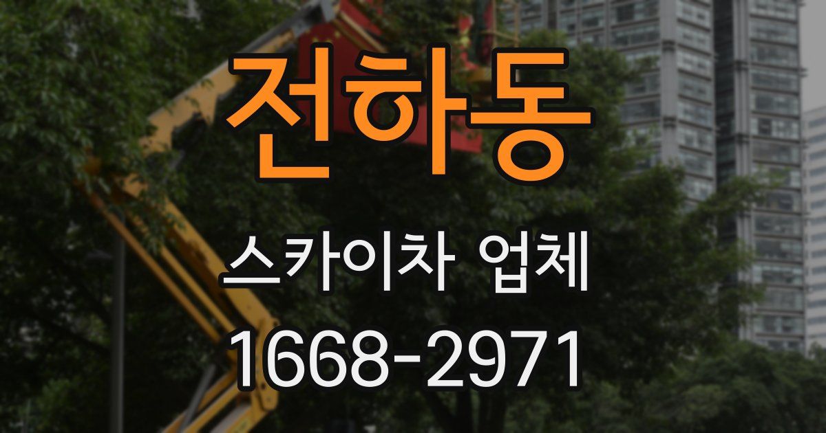 전하동 스카이차 업체