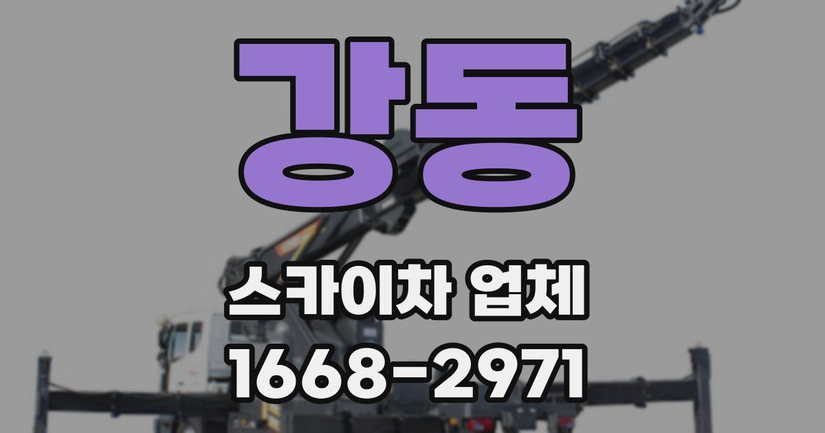 강동 스카이차 업체
