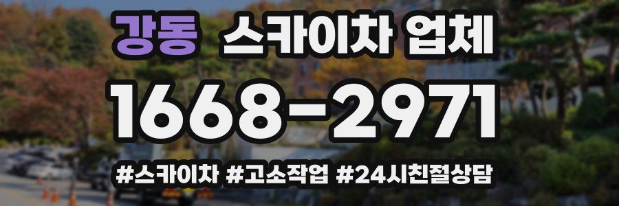 강동 스카이차 업체