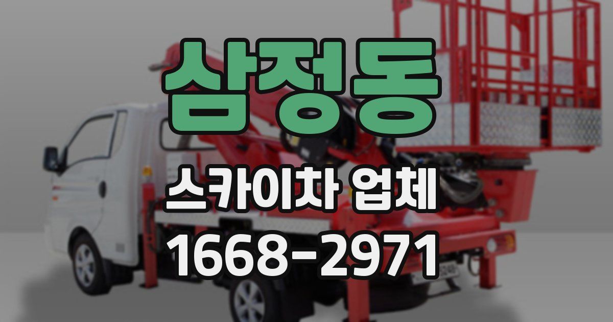 삼정동 스카이차 업체
