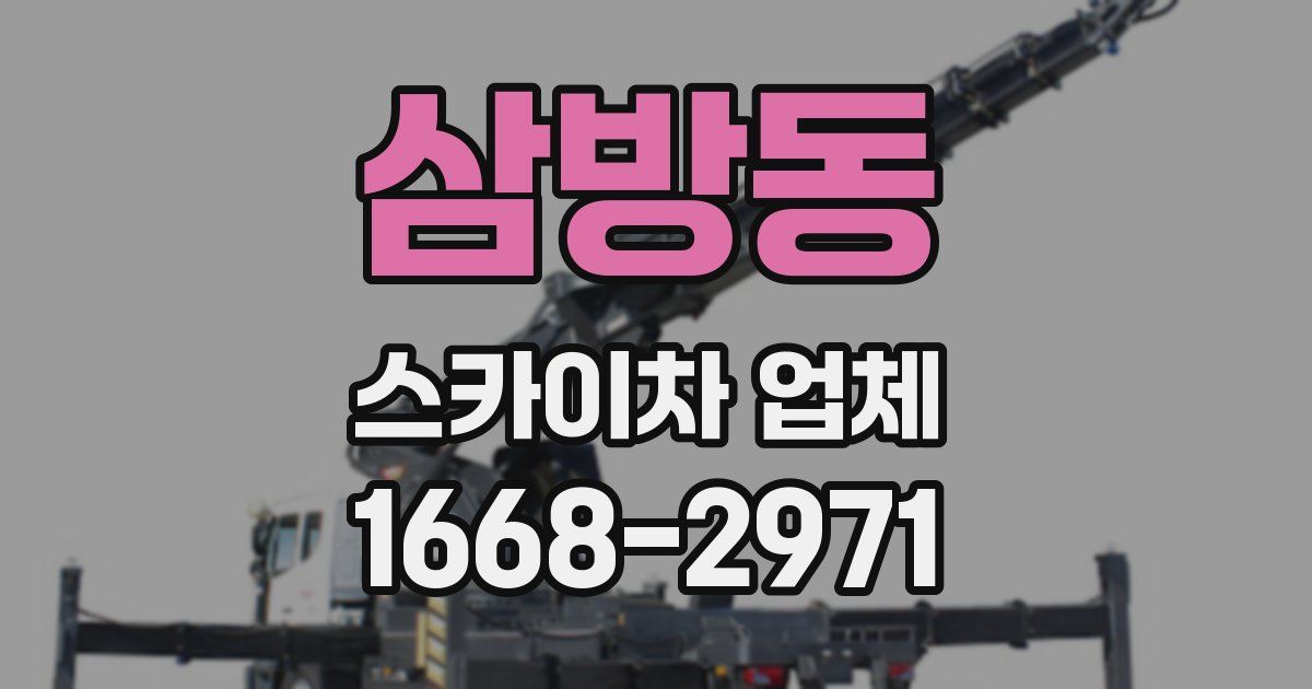 삼방동 스카이차 업체